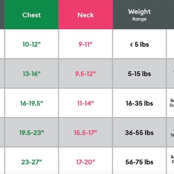 You Are Loved | Pride | Butterfly Dog Harness - Picture 4 of 4